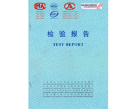 设备名称:验检报告